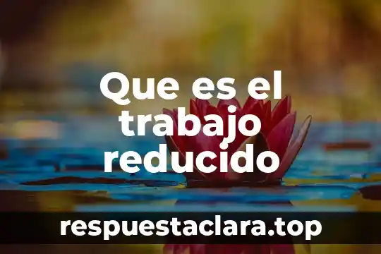 Que es el trabajo reducido