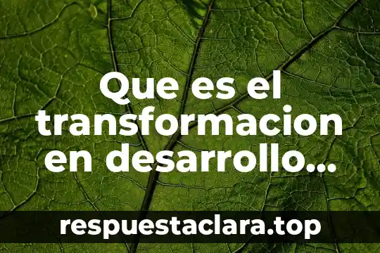 Que es el transformacion en desarrollo del pensamiento