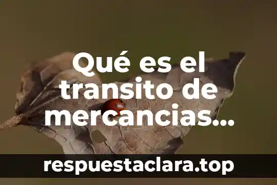 Qué es el transito de mercancias interno