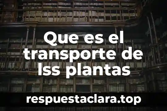 Que es el transporte de lss plantas