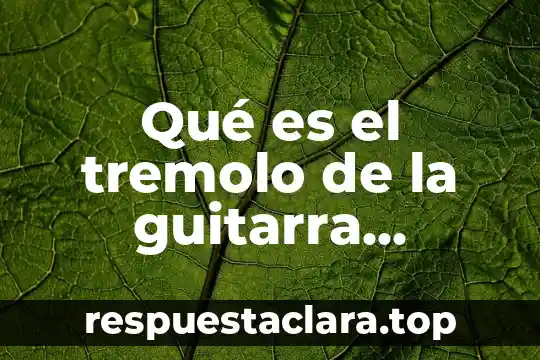 Qué es el tremolo de la guitarra eléctrica