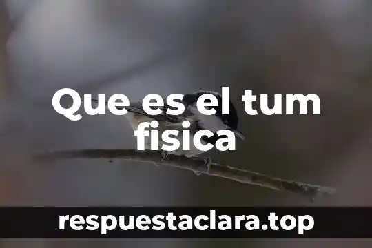 Que es amistad en educacion fisica 8 Que es el tum fisica