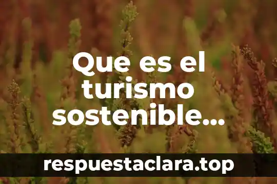 Que es el desarrollo sostenible en materia de recursos hidraulicos 6 Que es el turismo sostenible segun autores