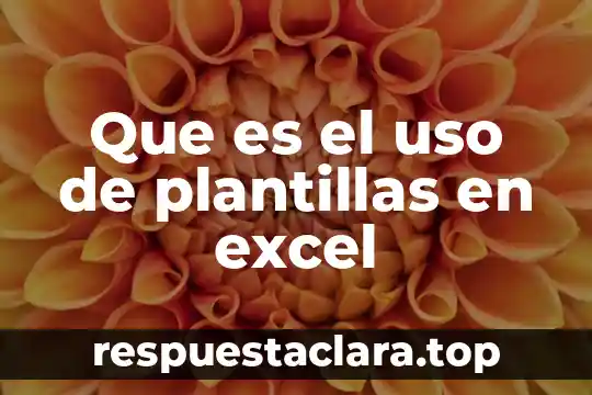 Que es una representación absoluta en excel 7 Que es el uso de plantillas en excel