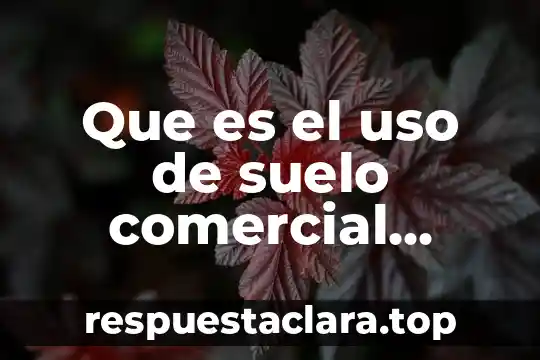 Que es el uso de suelo comercial donde se expiden