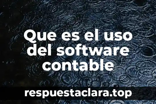 Que es el uso del software contable