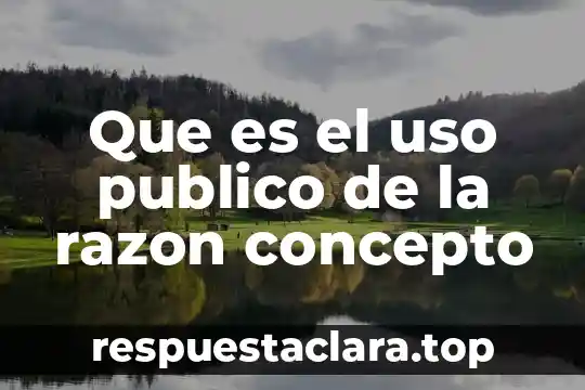 Que es el arbitraje publico 3 Que es el uso publico de la razon concepto