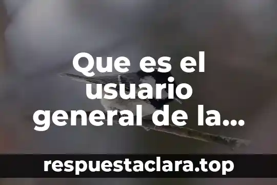 Que es persecusion en educasion fisica 8 Que es el usuario general de la contabilidad