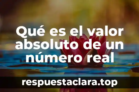 Qué es el valor absoluto de un número real