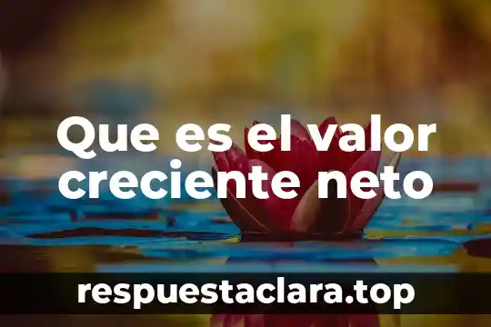 Que es una valor de flexibilidad 4 Que es el valor creciente neto