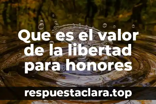 Que es la libertad sin ley 8 Que es el valor de la libertad para honores