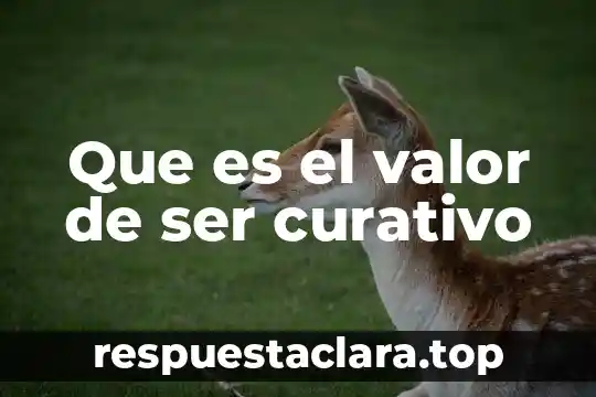 Que es el valor de ser curativo