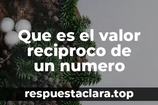 Número de dependientes que es 5 Que es el valor reciproco de un numero