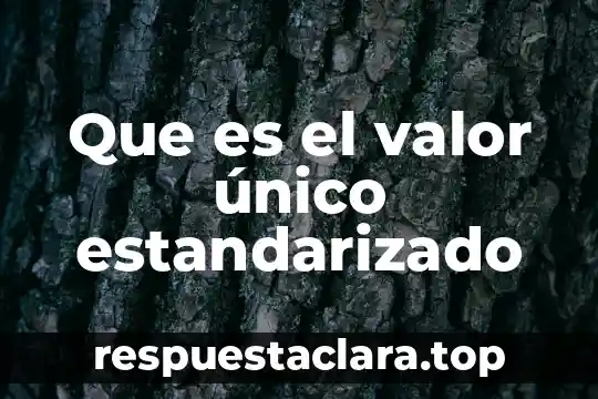 Que es valor cif de las importaciones 3 Que es el valor único estandarizado