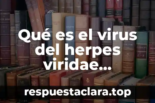 Energía cinética que es significado y concepto 7 Qué es el virus del herpes viridae significado
