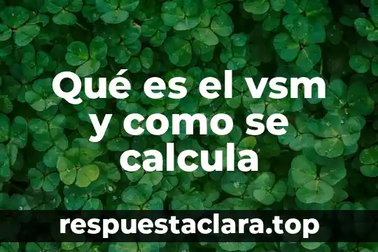 Qué es el vsm y como se calcula
