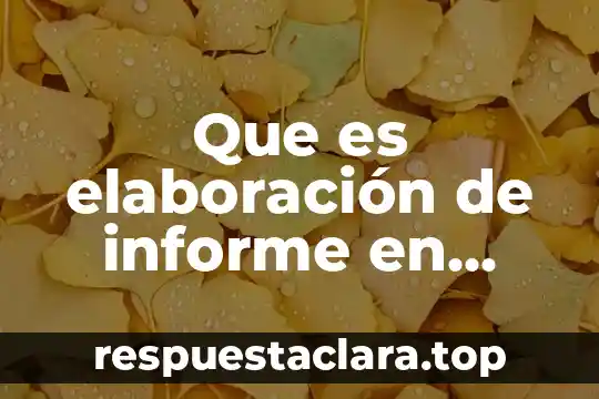 Que es elaboración de informe en borrador