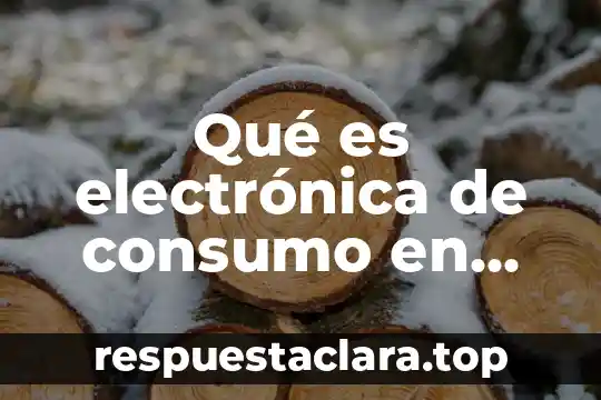 Qué es electrónica de consumo en México