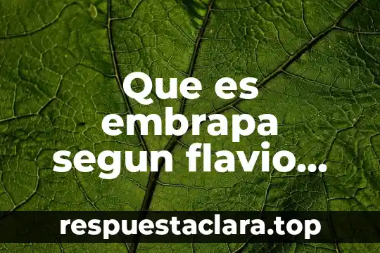 Que es embrapa segun flavio moscardi