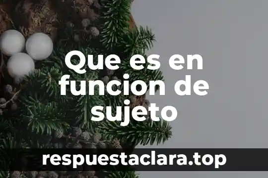 Que es en funcion de sujeto