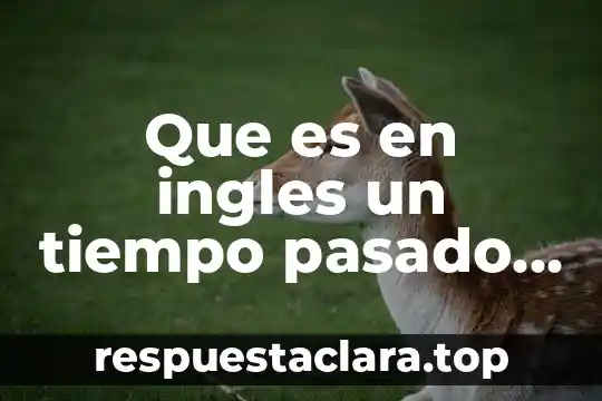 Que es en ingles un tiempo pasado simple
