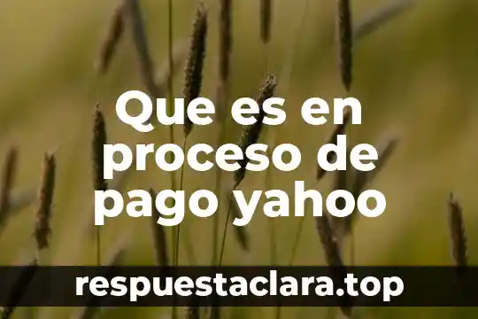 Que es el pago de indebido 7 Que es en proceso de pago yahoo