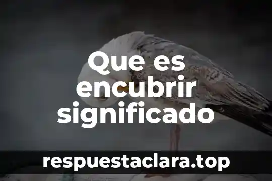 Que es encubrir significado