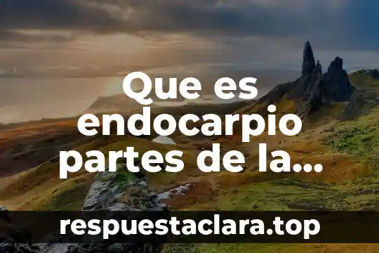 Que es endocarpio partes de la manzana