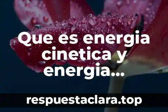 Qué es la fuerza de fricción estática y cinética 7 Que es energia cinetica y energia potencial en fisica