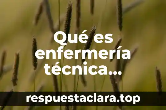 Qué es enfermería técnica definición