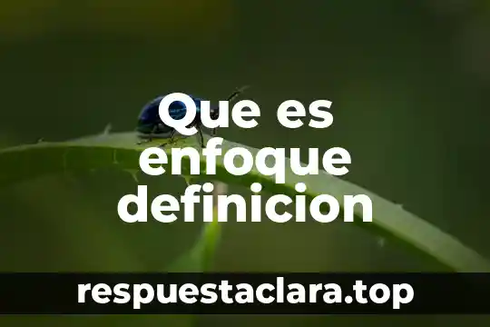 Que es enfoque definicion