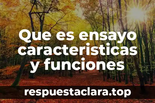 Que es ensayo caracteristicas y funciones