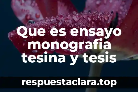 Que es ensayo monografia tesina y tesis
