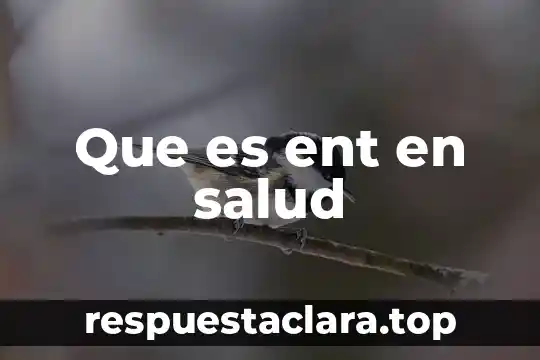 Que es ent en salud