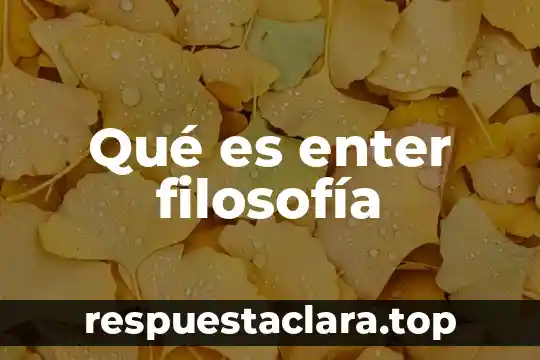 Que es libertinaje en filosofia 3 Qué es enter filosofía