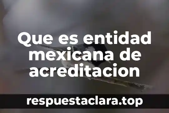 Que es entidad mexicana de acreditacion