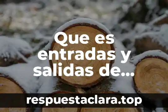 Que es entradas y salidas de almacen