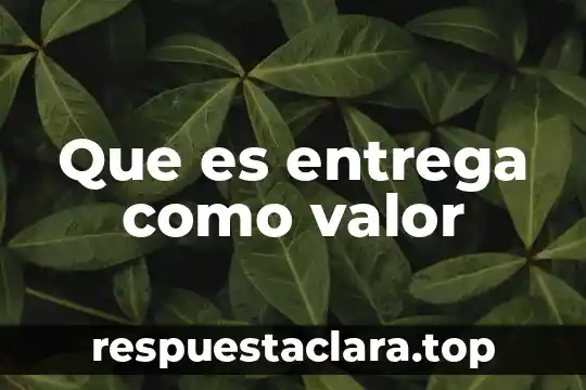 Que es una valor de flexibilidad 3 Que es entrega como valor