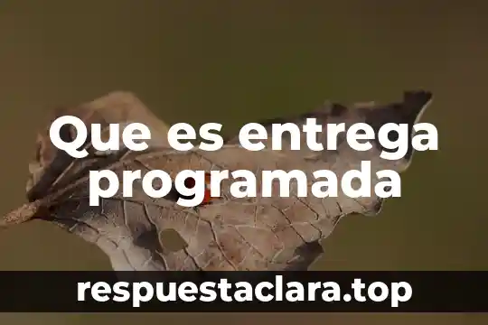 Por que es importatente conocer la historia 4 Que es entrega programada