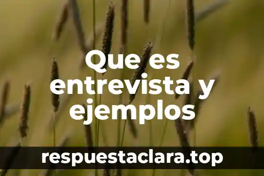 Que es entrevista y ejemplos