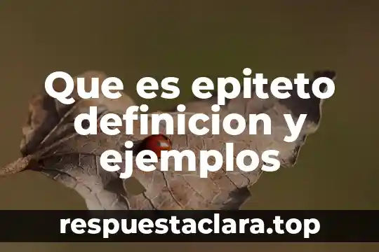 Qué es la representación espacial definición 3 Que es epiteto definicion y ejemplos