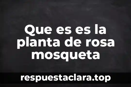 Planta nixtamalizadora que es 6 Que es es la planta de rosa mosqueta