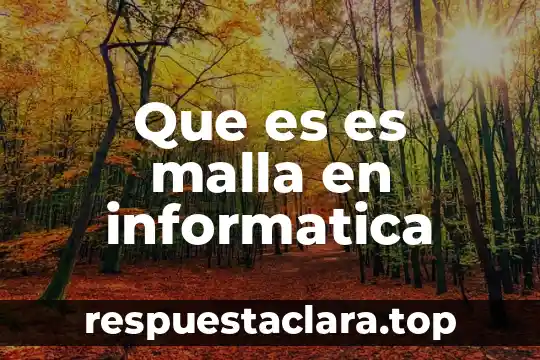 Que es es malla en informatica
