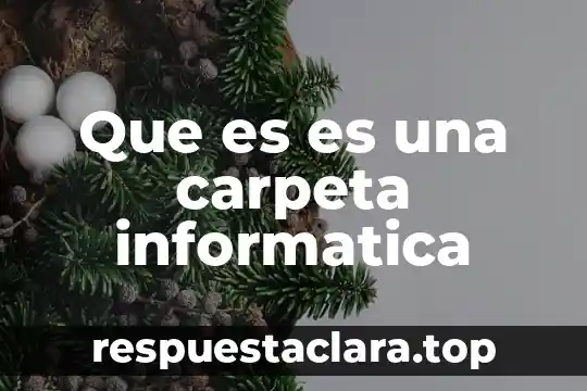 Que es es una carpeta informatica