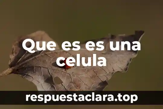 Que es es una celula