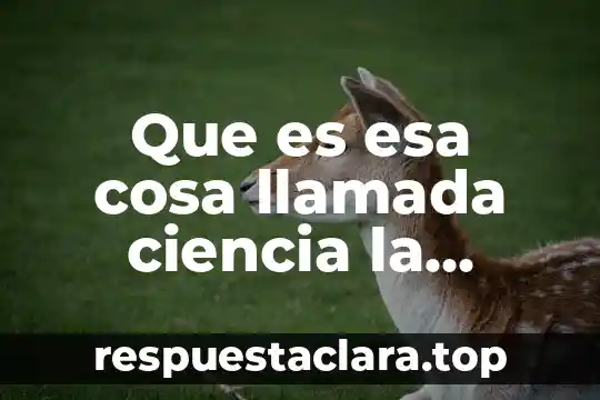 Que es un paradigma que es esa cosa llamada ciencia 3 Que es esa cosa llamada ciencia la perspectiva de kuhn