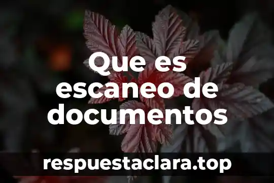 Que es escaneo de documentos