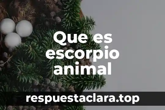 Qué es mejor Animal Stak o M Stak 6 Que es escorpio animal