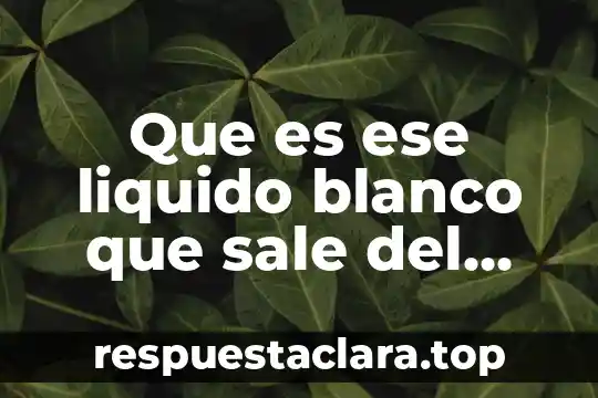 Que es ese liquido blanco que sale del hombre