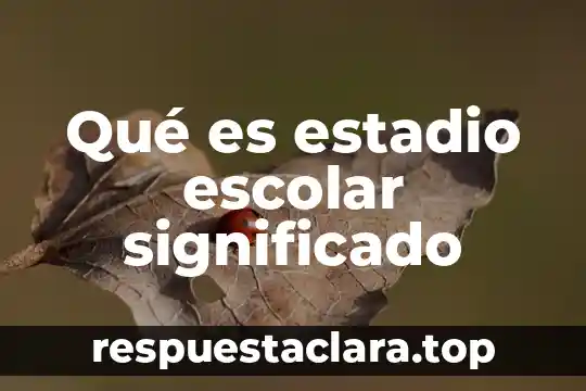 Que es austeridad en ingles significado 6 Qué es estadio escolar significado